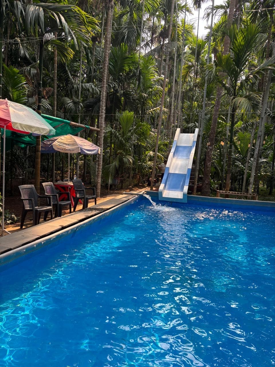 Pool 2